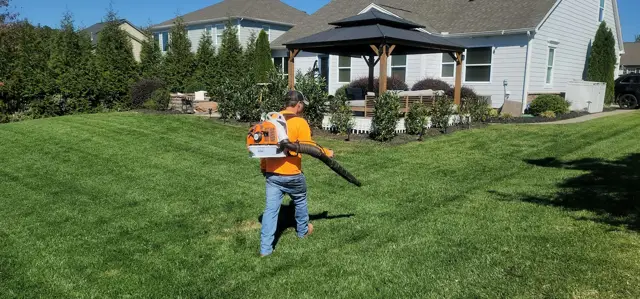 Worker blowing leaves off a lawn