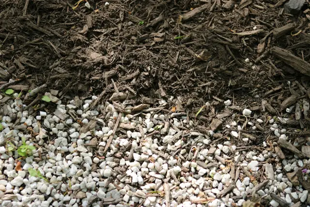 Close-up of fresh wood mulch